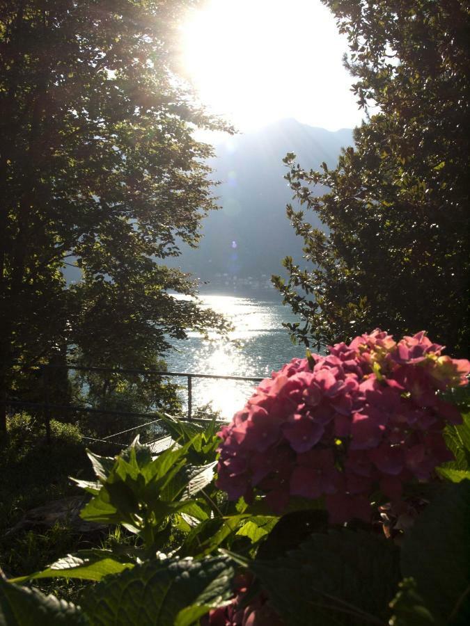 Casa Marina - Appartamento Nel Residence Di Nesso Eksteriør bilde